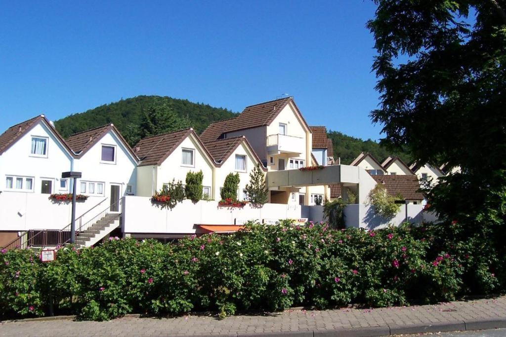 Seeblick Geniessen In Schoener Fewo Am Edersee Scheid  Eksteriør bilde